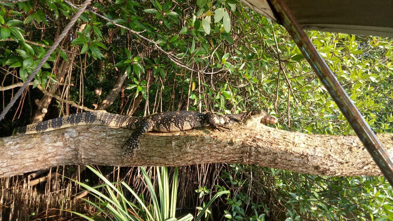 Mahi Villa Bentota Buitenkant foto