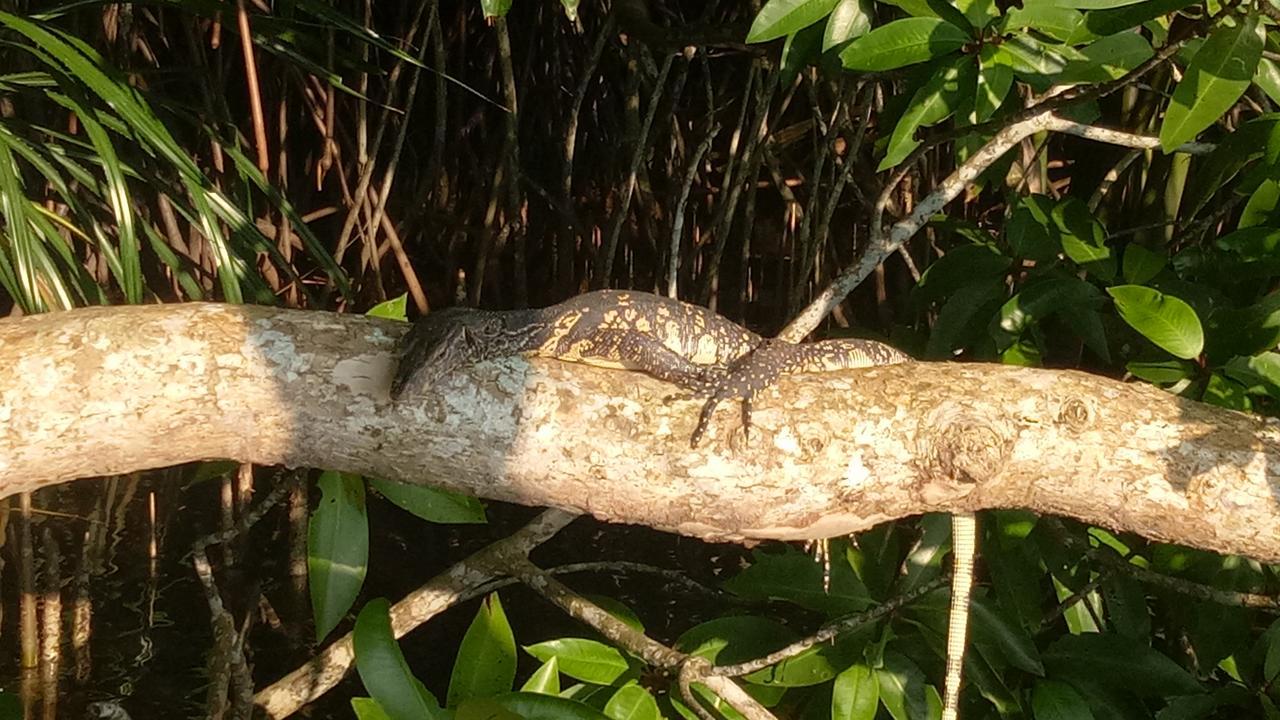 Mahi Villa Bentota Buitenkant foto